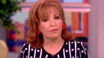 Joy Behar The View